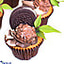 Shop in Sri Lanka for Choco Delight Oreo Cup Cakes- 12 Cupcakes