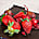 Shop in Sri Lanka for Fudge Fusion Strawberry Cake
