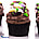Shop in Sri Lanka for Easter Eggs Cupcakes - 12 Piece
