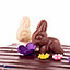 Shop in Sri Lanka for Easter Chocolate Truffle And Bunny Cake(gmc)