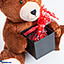 Shop in Sri Lanka for Lovable Teddy With 15 Chocolate Hearts