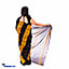 Shop in Sri Lanka for Black And Yellow Handloom Cotton Saree