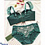 Shop in Sri Lanka for Sexy French Bra and Brief lingerie Set-Green 32B