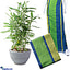 Shop in Sri Lanka for Lungilife- Cotton Lungi With Sandriana Home Deco Plant
