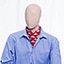 Shop in Sri Lanka for MOZ Gents Red Cravat (ascot Tie)