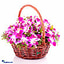 Shop in Sri Lanka for Orchid Basket