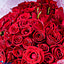 Shop in Sri Lanka for 100 Red Rose Bouquet