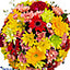Shop in Sri Lanka for Sundry Hues - Mix Of Chrysanthemums, Gerberas And Celosia