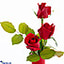 Shop in Sri Lanka for Vase In Red- Mix Of Red Roses - Flowers For You