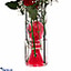 Shop in Sri Lanka for Light Of My Life- Mix Of Red Roses For Valentines