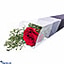 Shop in Sri Lanka for A Rose Amorous For Valentines