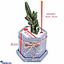Shop in Sri Lanka for Fairy Of My Life - Fairy Castle Cactus With Marble Hand Made Cement Pot