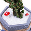 Shop in Sri Lanka for Fairy Of My Life - Fairy Castle Cactus With Marble Hand Made Cement Pot