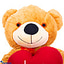 Shop in Sri Lanka for Hug Me Tight Giant Plush Teddy Bear With 12 Red Rose Bouquet