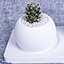 Shop in Sri Lanka for Forever Mine Cactus Pot With A Couple Statue Ornament- Gift For Her, Gift For Him, Gift For Anniversa