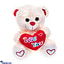 Shop in Sri Lanka for Dreamy Love Gift Bundle With 'I Love You' Teddy Bear, 12 Red Rose Boquet With Java Chocolate