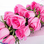 Shop in Sri Lanka for Dozen Pink Roses In Box
