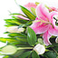 Shop in Sri Lanka for Pink Pleasure Boquet With Lilly And White Rose