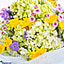 Shop in Sri Lanka for Enchanting Daydream Flower Bouquet