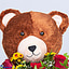 Shop in Sri Lanka for Cuddles Of Love - Teddy With Flower Holder And Java 12 Piece Chocolate
