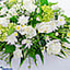 Shop in Sri Lanka for Casket Of Condolences Funeral Flower Arrangement