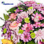 Shop in Sri Lanka for Bloom Room Pot Arrangement Of Gerberas With Chrysanthemum