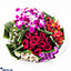 Shop in Sri Lanka for Unforgettable You Flower Bouquet