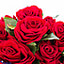 Shop in Sri Lanka for Love Hugs Kit Kat With Roses