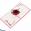 Shop in Sri Lanka for 3D Heart Popup Greeting Card