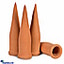 Shop in Sri Lanka for Pochchi Self Watering Spikes- 4 Pieces Pack