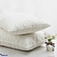 Shop in Sri Lanka for Gentelle Gel Pillow 16`x24`
