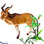 Shop in Sri Lanka for Simulation Wild Animals Model Set Wild Life Animal World Action Figures (6pcs)
