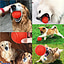 Shop in Sri Lanka for Red Solid Ball Dog Toy Rubber Bite Resistant For Fetch Play Pet Puppy Dogs Chew Playing Bite Resistant Teeth - Medium
