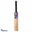 Shop in Sri Lanka for Royal College Mini Cricket Bat
