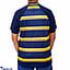 Shop in Sri Lanka for Royal College Blue T-Shirt With Yellow Stripes - Yellow Badge Medium