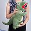 Shop in Sri Lanka for Baby Dinosaur Plush Toy - Green