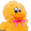 Shop in Sri Lanka for DUCKY SOFT TOY