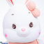 Shop in Sri Lanka for Lolita The Baby Rabbit Soft Plush Stuffed Animal Soft Toy