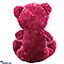 Shop in Sri Lanka for Francine The Large Soft Bear (23 Inches)