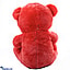 Shop in Sri Lanka for Lovely Angel Soft Bear (23 inches) Red