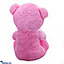 Shop in Sri Lanka for Lovebug Soft Teddy Bear HT3052 - Pink (15 Inches)