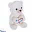 Shop in Sri Lanka for Soft Bear Piece of Heart Bear `Love` Bear (11Inches) White