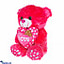 Shop in Sri Lanka for Everly' The Love Bear , Soft Plush Stuffed Animal Soft Toy (10 Inches) - Pink