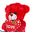 Shop in Sri Lanka for Everly' The Love Bear , Soft Plush Stuffed Animal Soft Toy (10 Inches)