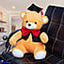 Shop in Sri Lanka for Graduation Teddy Bear - Large
