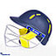 Shop in Sri Lanka for Speed cricket helmet/ head gear - medium
