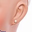 Shop in Sri Lanka for Vogue 22K Ear Stud Set With 14 Cz Rounds