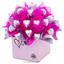 Shop in Sri Lanka for Java Pink Heart Desire Chocolate Gift Box