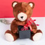 Shop in Sri Lanka for Lovable Teddy With 15 Chocolate Hearts