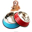 Shop in Sri Lanka for Colorful Pet Bowl Stainless Steel Safeguard Neck Puppy Dog Food Water Feeding Colourful Utensil Feeder 1 Piece - Medium